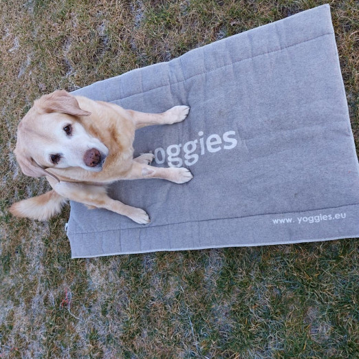 Pelíšek pro psy od Roxyho 80 x 70 cm