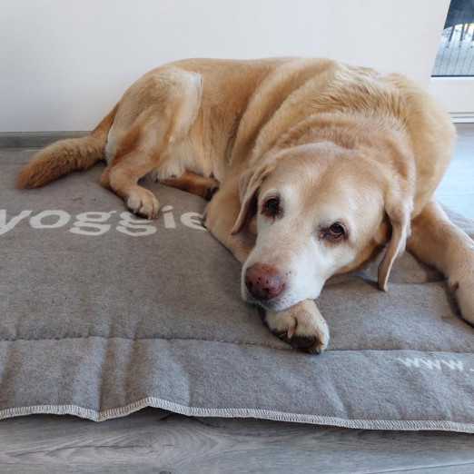 Pelíšek pro psy od Roxyho 120 x 80 cm