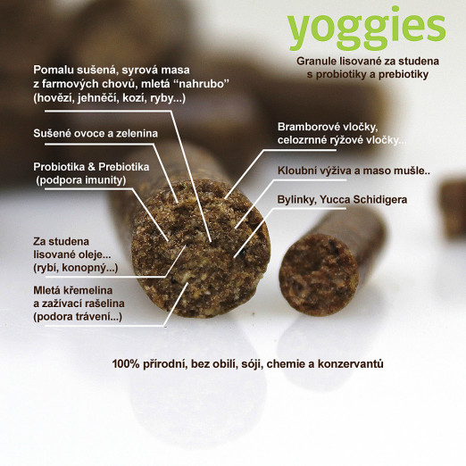 10kg Yoggies Kozí maso&zelenina, hypoalergenní minigranule lisované za studena s probiotiky