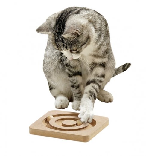 KARLIE interaktivní hračka pro kočky Kitty Brain Roundabout 19x19 cm